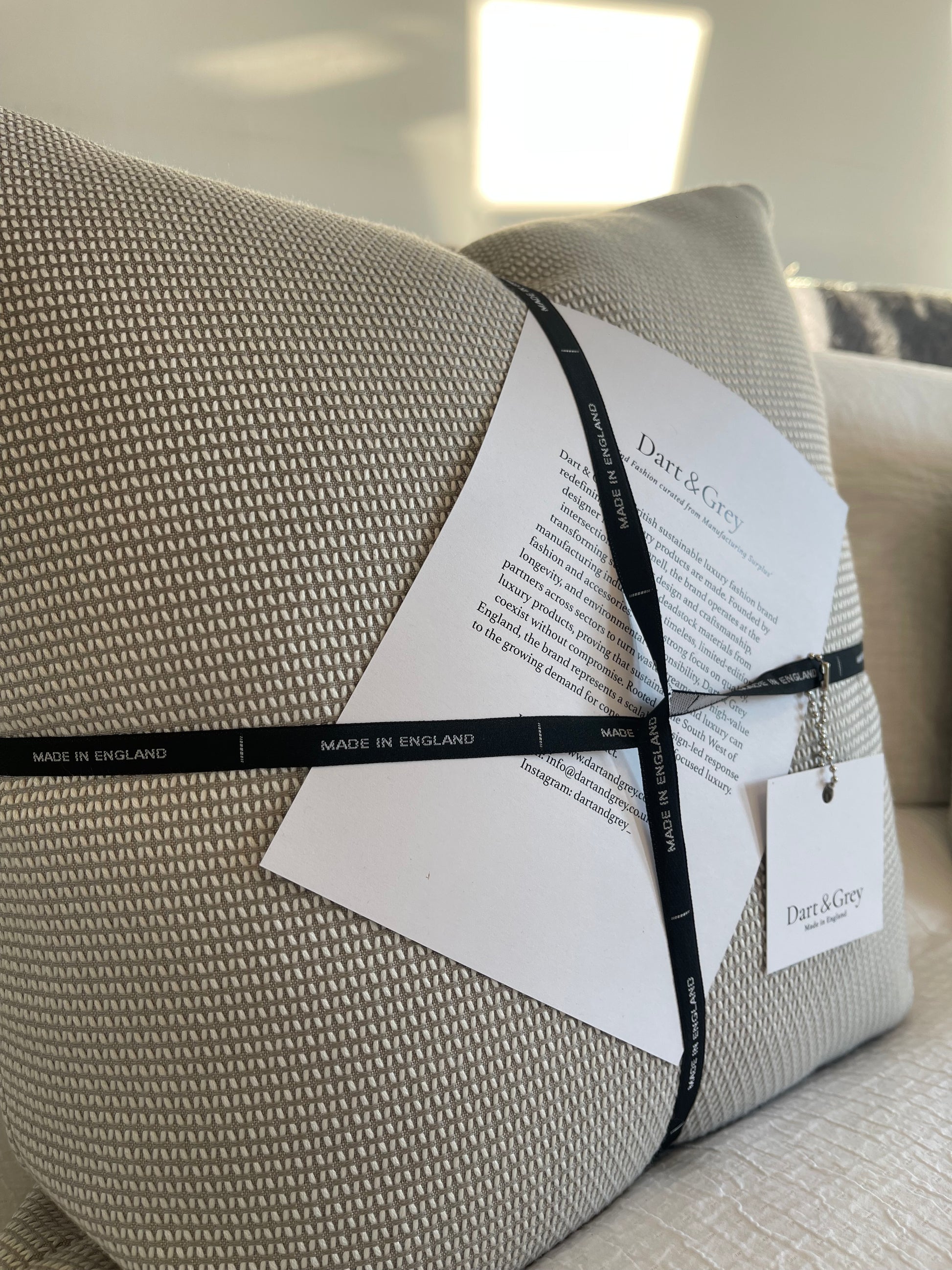 The Dune Cushion