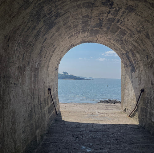 Dart & Grey Gift Card